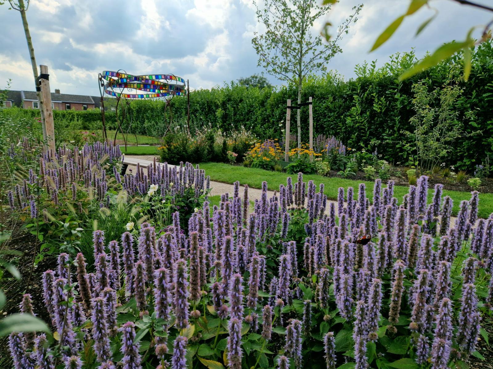Sterretjesveld