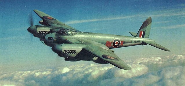 mosquito